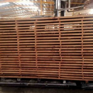 Gỗ Tần Bì Biến Tính - Ảnh 4